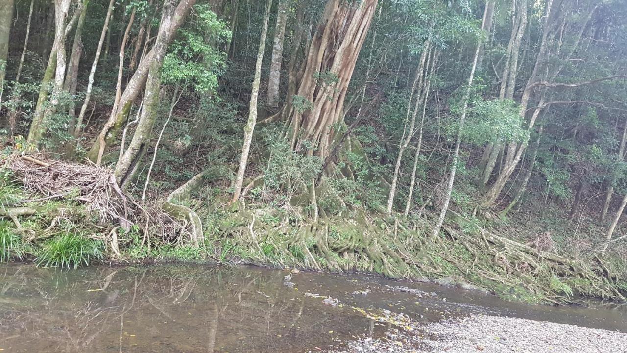Starry Nights Luxury Camping Woombye Esterno foto